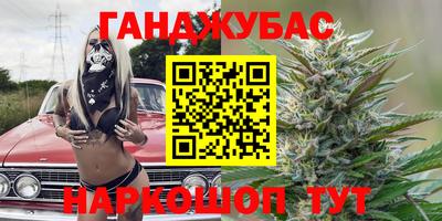 прущие грибы Обнинск