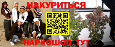 прущие грибы Обнинск