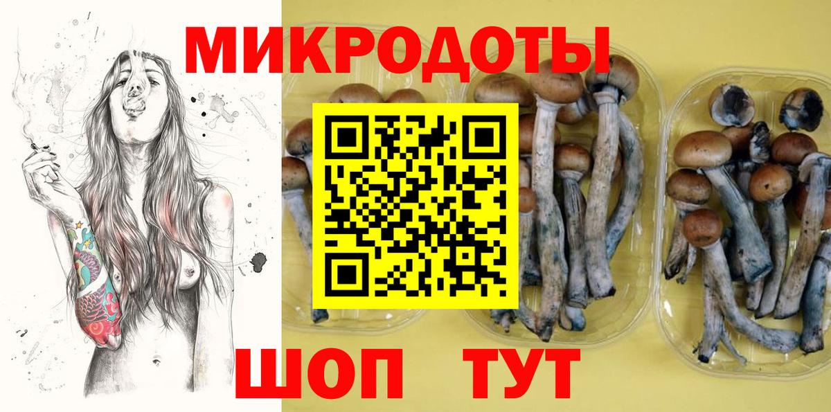 Тихорецк  где можно купить наркотик  Вход с VPN  Псилоцибиновые грибы Psilocybe 