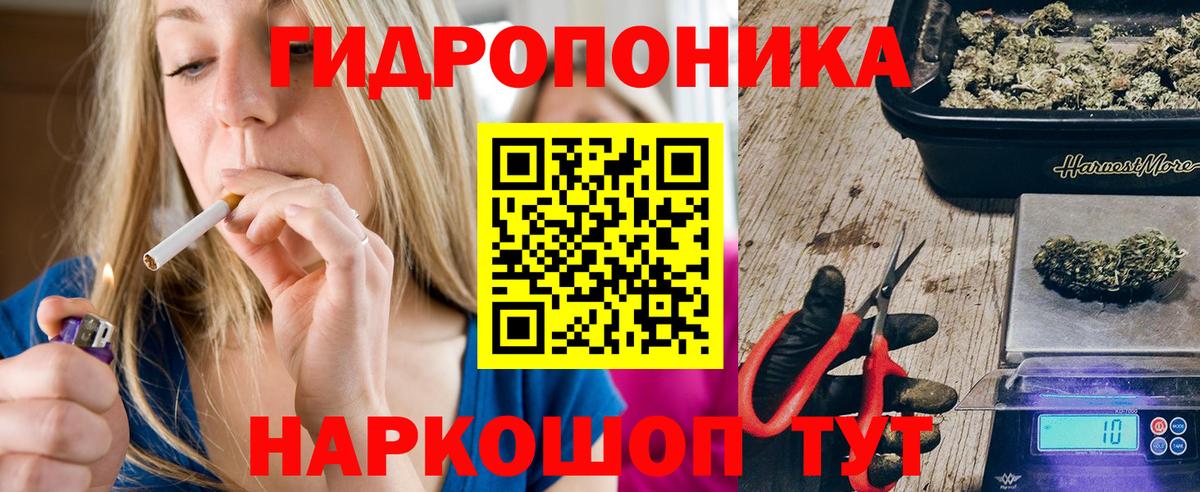 Каннабис сатива Тихорецк